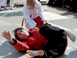 Bilder aus 2011